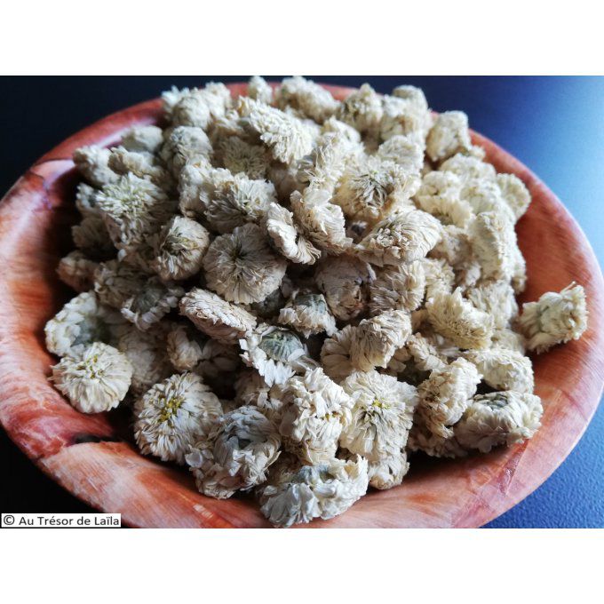 Camomille romaine Bio