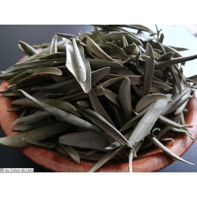 Feuilles d'olivier Bio