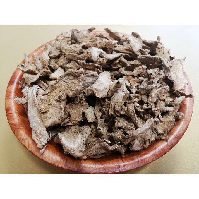 Gingembre racine Bio