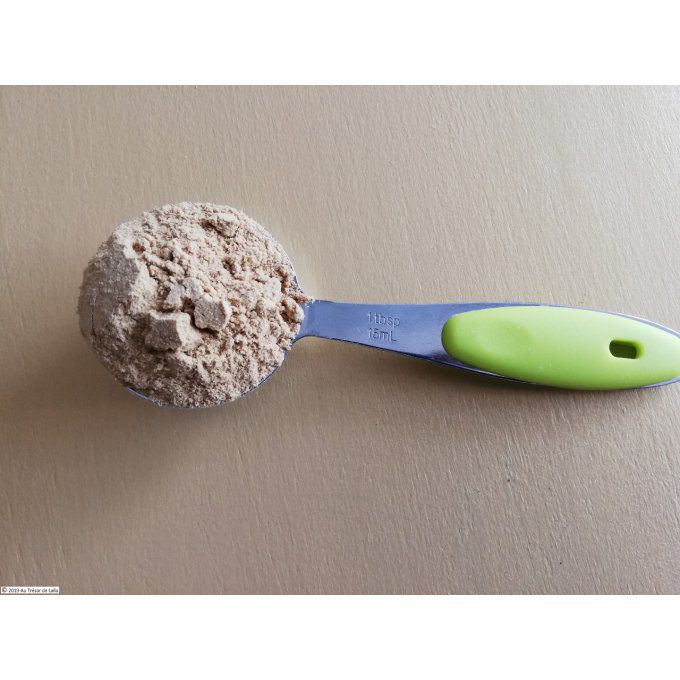 gingembre Poudre Bio