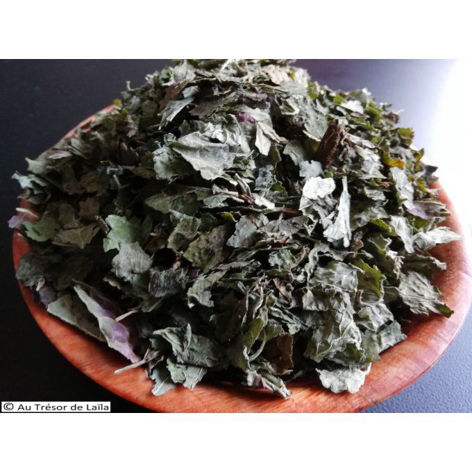 Mélisse feuilles Bio