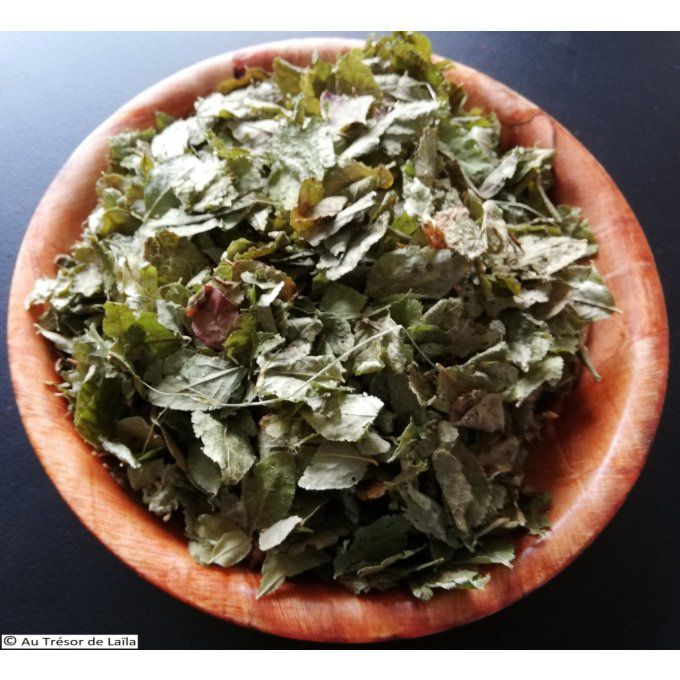 Myrtille feuilles Bio