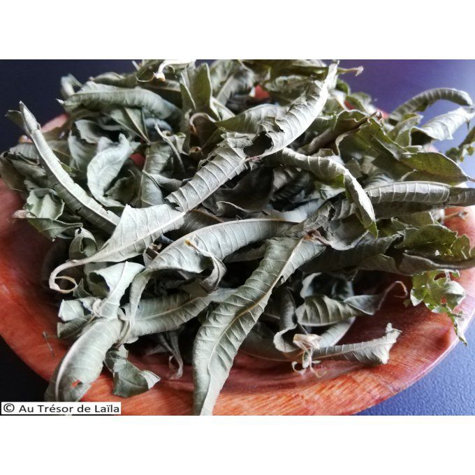 VERVEINE ODORANTE feuilles Bio